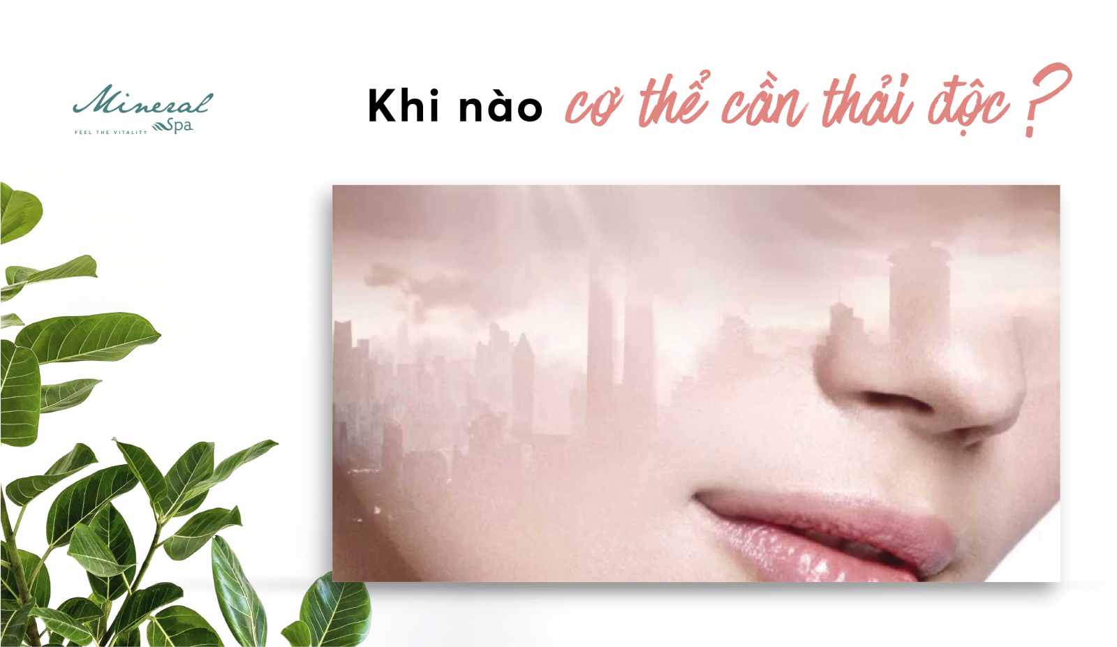 KHI NÀO CƠ THỂ CẦN ĐƯỢC THẢI ĐỘC