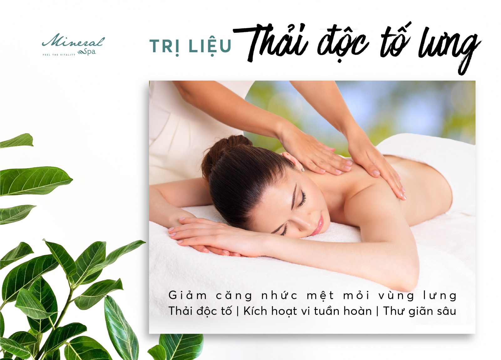 THẢI ĐỘC CƠ THỂ VỚI DETOX LƯNG